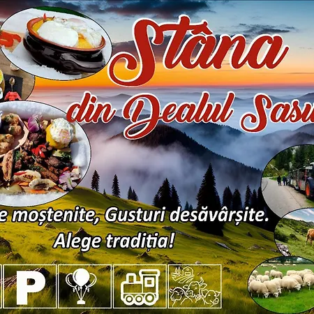 Dealul Sasului Dîmbovicioara